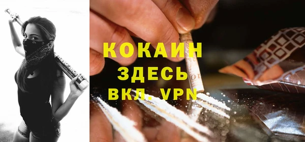 дурь Алексин
