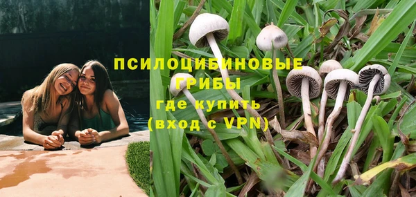 а пвп мука Алексеевка